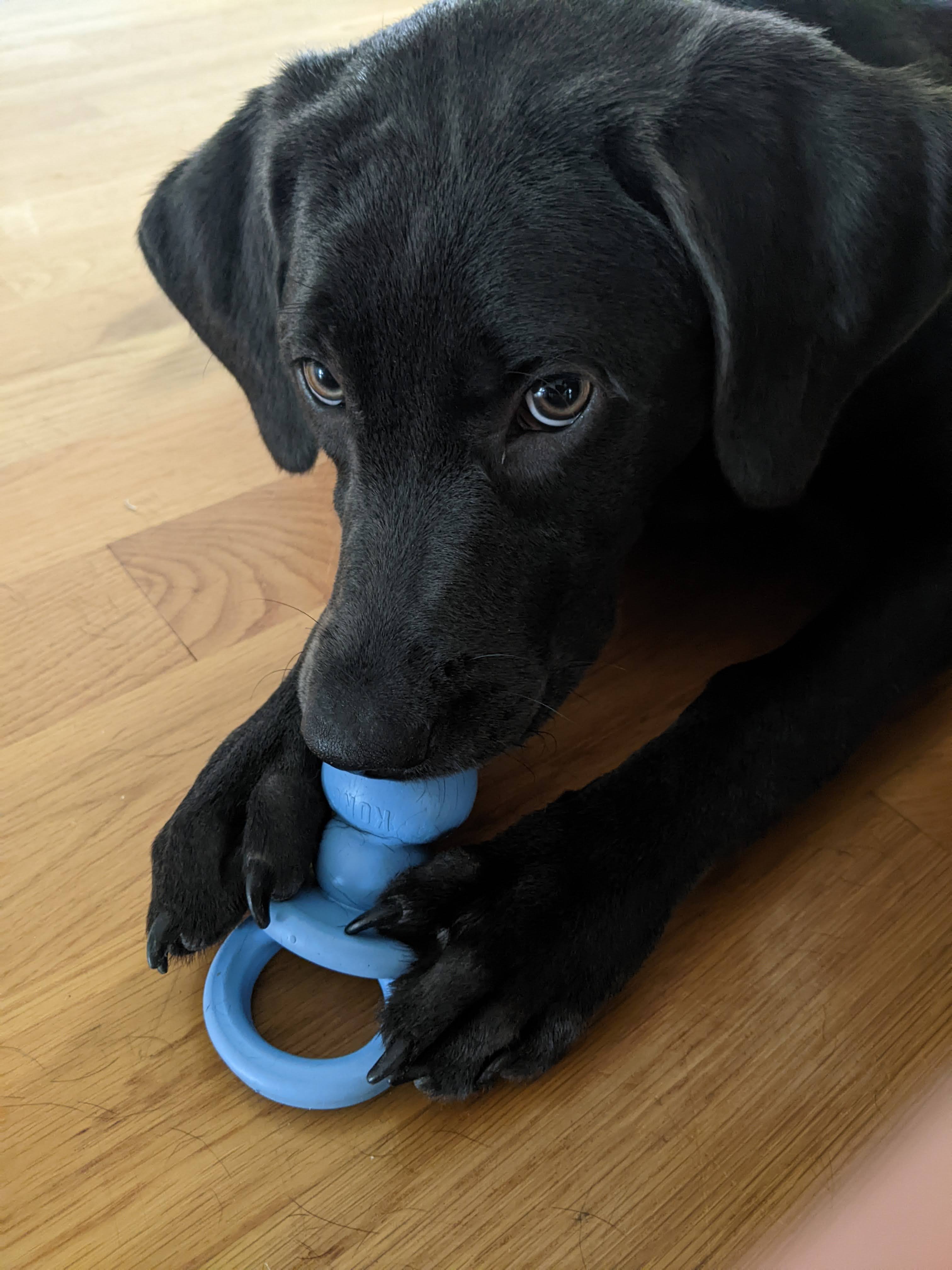 zelda as a baby with a binky